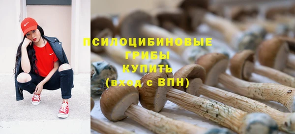 кокаин колумбия Алексин
