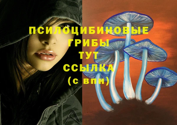 кокаин колумбия Алексин